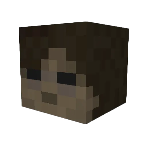 whosleyla Minecraft avatar head, 3D render