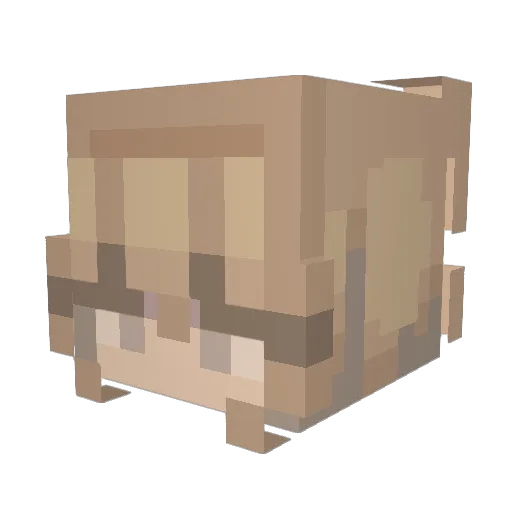 whosnabs Minecraft avatar head, 3D render