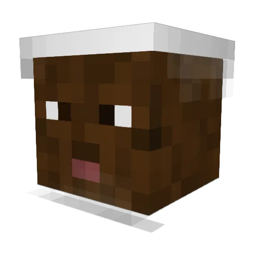 whosnoozed Minecraft avatar head, 3D render