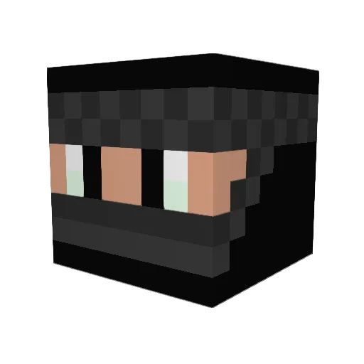 whovian012 Minecraft avatar head, 3D render
