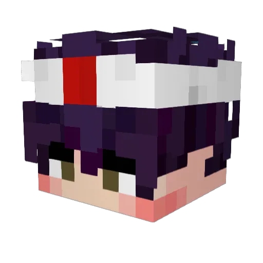 whyS0fast Minecraft avatar head, 3D render