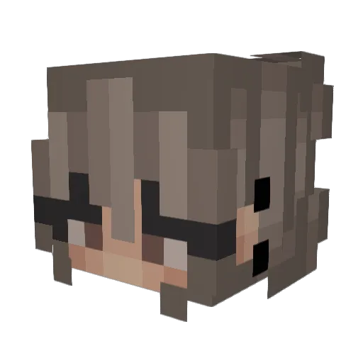 why_is_it_brown Minecraft avatar head, 3D render