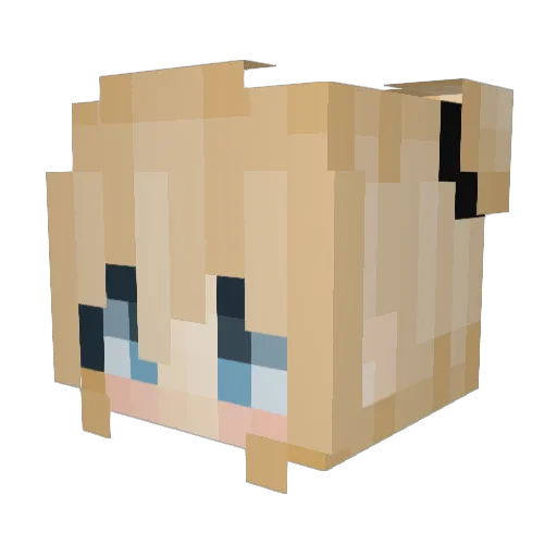 why_meXX Minecraft avatar head, 3D render