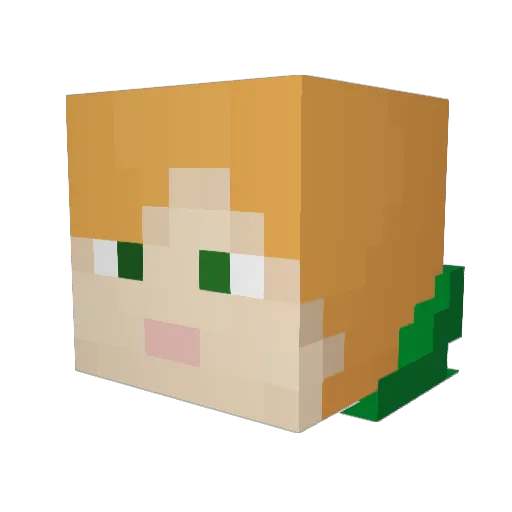 why_microsoft Minecraft avatar head, 3D render