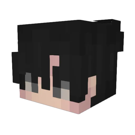 why_see_ Minecraft avatar head, 3D render