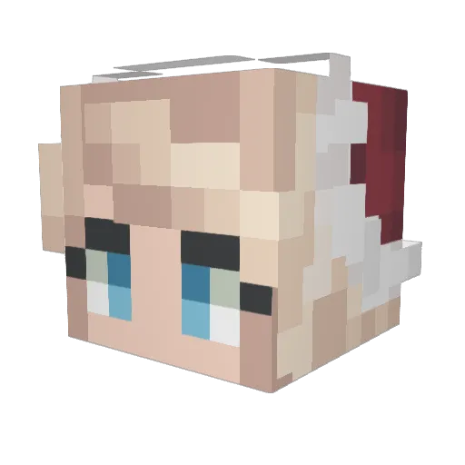 whynotally Minecraft avatar head, 3D render