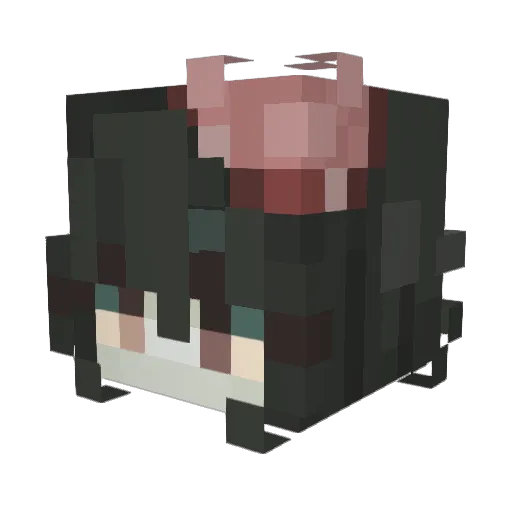 whynotisee Minecraft avatar head, 3D render