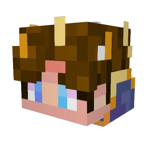 whynotlucca Minecraft avatar head, 3D render