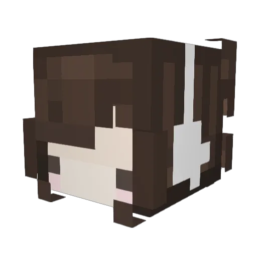 whysojellyy Minecraft avatar head, 3D render