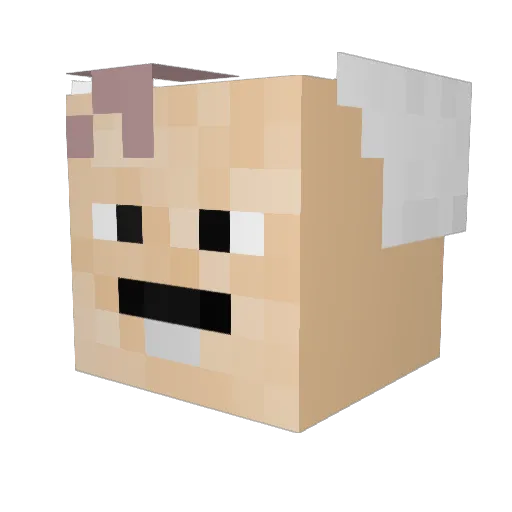 whyuuuu7777 Minecraft avatar head, 3D render