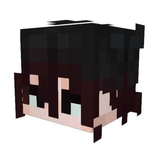wi11iam22 Minecraft avatar head, 3D render