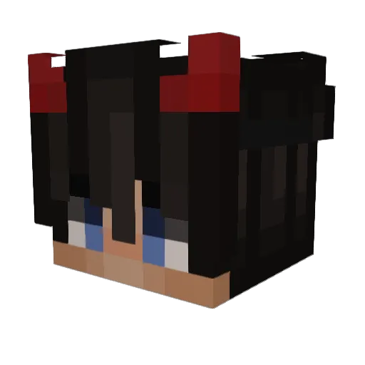 wi_2 Minecraft avatar head, 3D render