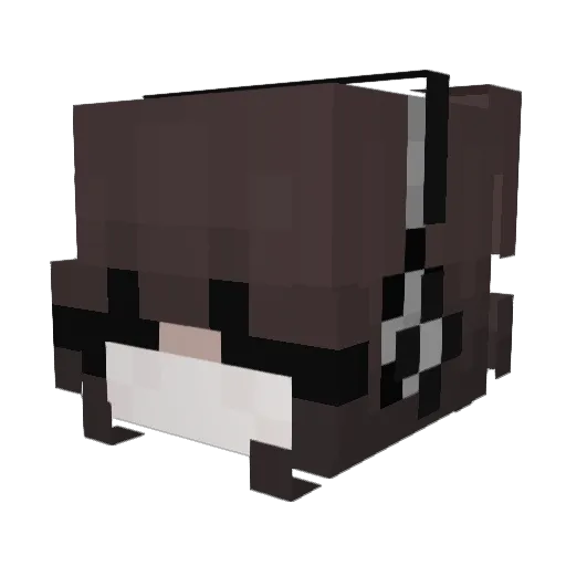 wiadereczko_ Minecraft avatar head, 3D render