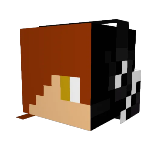 wialst Minecraft avatar head, 3D render