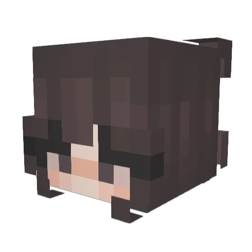 wibblekiwi Minecraft avatar head, 3D render