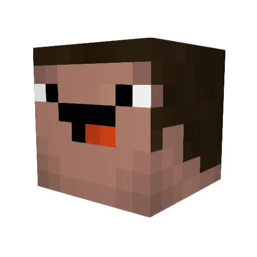 wichoo45 Minecraft avatar head, 3D render