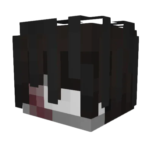 wichtiger15 Minecraft avatar head, 3D render