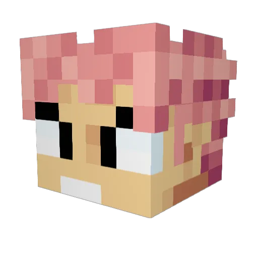 wicked116 Minecraft avatar head, 3D render