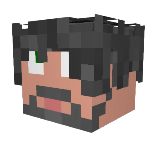 wicked15 Minecraft avatar head, 3D render