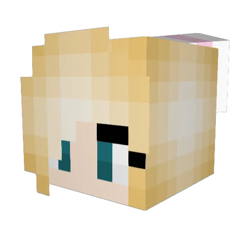 wickedbugg Minecraft avatar head, 3D render