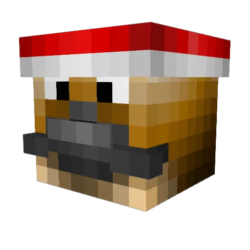 wickedpigs2 Minecraft avatar head, 3D render