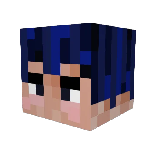 wickles Minecraft avatar head, 3D render