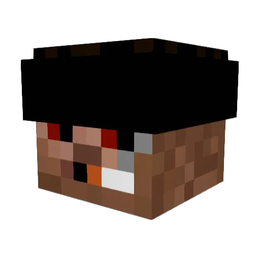 wickr_ Minecraft avatar head, 3D render
