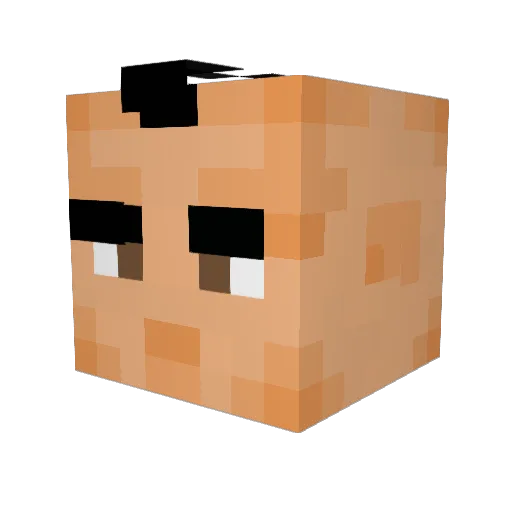 wickyonnes Minecraft avatar head, 3D render
