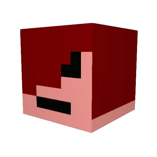 widdle_woddle Minecraft avatar head, 3D render