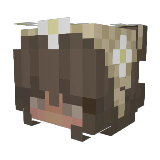 widgetwoo Minecraft avatar head, 3D render