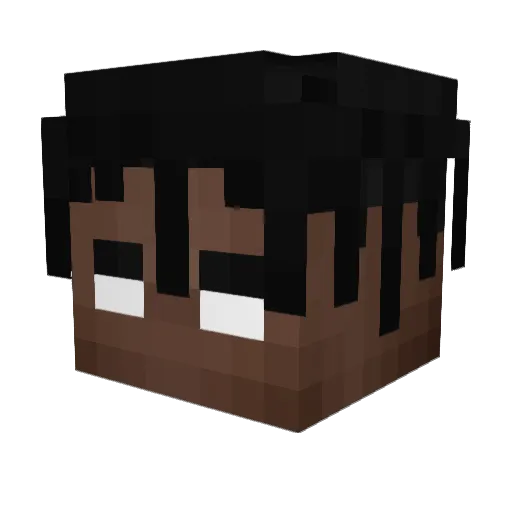 widi11 Minecraft avatar head, 3D render