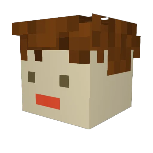 widtee Minecraft avatar head, 3D render