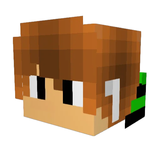 widyboy Minecraft avatar head, 3D render