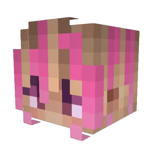 wielkapupa123 Minecraft avatar head, 3D render