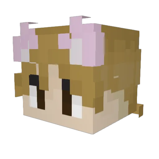 wierdchamp0 Minecraft avatar head, 3D render