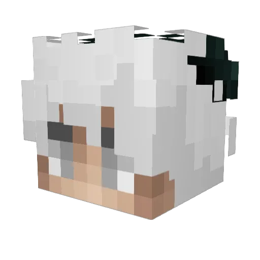 wierdmon Minecraft avatar head, 3D render