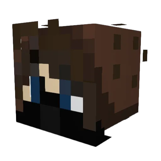 wierdude111 Minecraft avatar head, 3D render