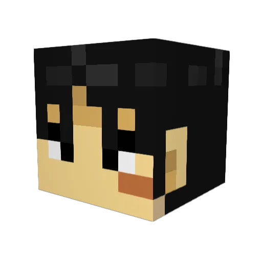 wiesey Minecraft avatar head, 3D render