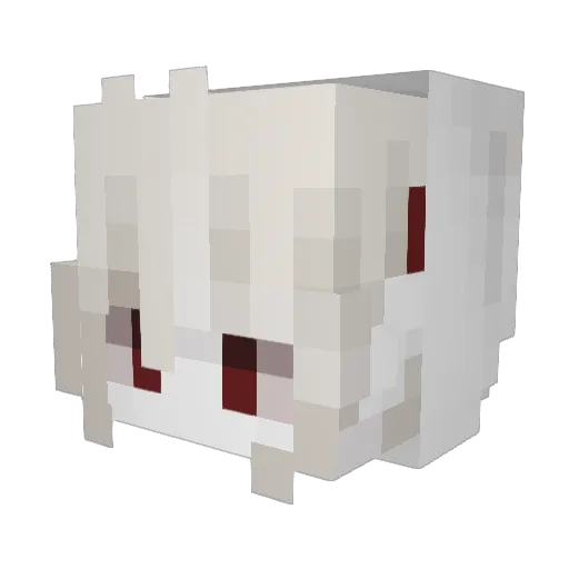 wiesz Minecraft avatar head, 3D render