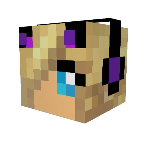 wiet8 Minecraft avatar head, 3D render