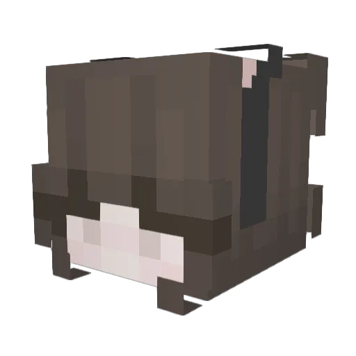 wif3 Minecraft avatar head, 3D render