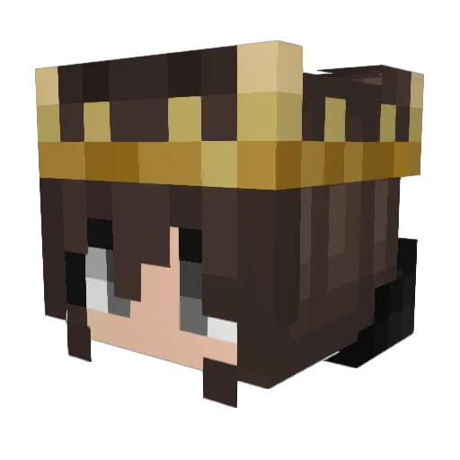 wifi_irwin94 Minecraft avatar head, 3D render