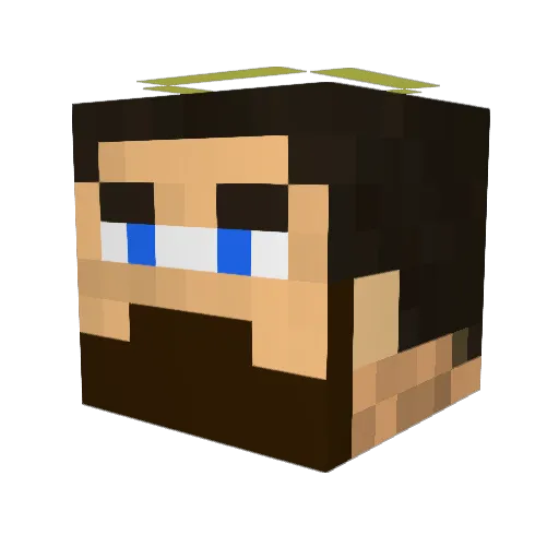 wifik1 Minecraft avatar head, 3D render
