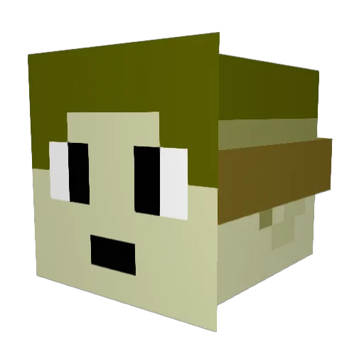 wifilung Minecraft avatar head, 3D render