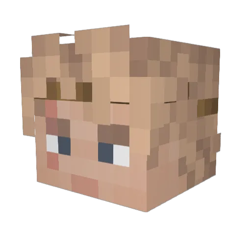 wige Minecraft avatar head, 3D render
