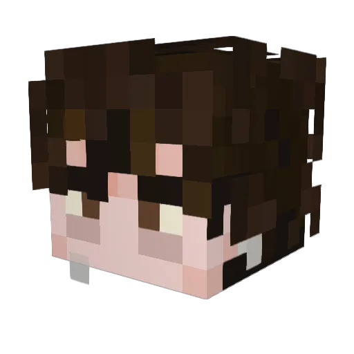 wiggea Minecraft avatar head, 3D render