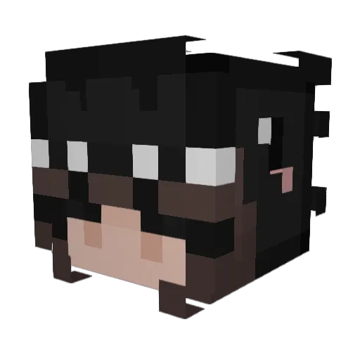 wigglewiggle603 Minecraft avatar head, 3D render
