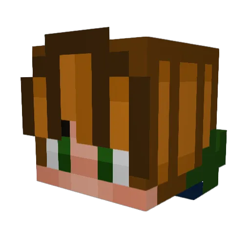wiggleworm_ Minecraft avatar head, 3D render