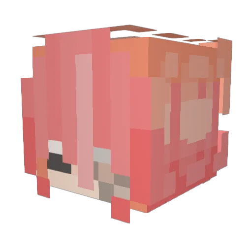 wihtth Minecraft avatar head, 3D render