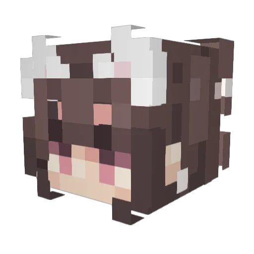Minecraft-Avatar von wihzerd_: Kopf als 3D-Render